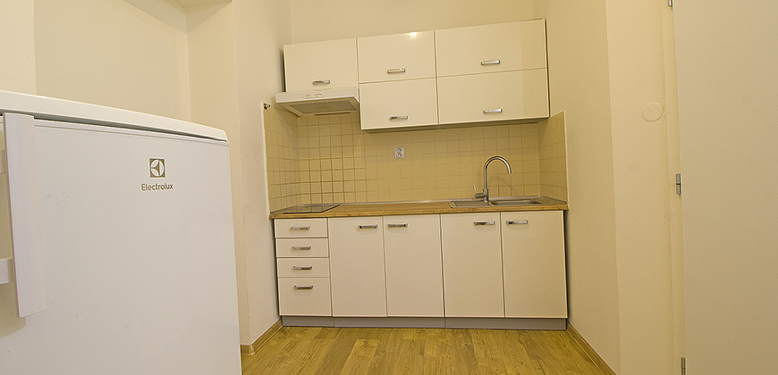 Pronájem bytu 1+kk, 27m2, Praha 10 - Vršovice, po rekonstrukci