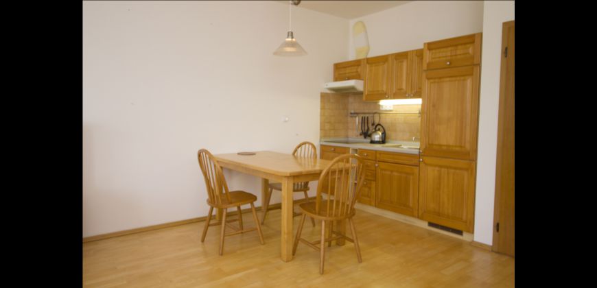 Garsoniéra, 40m2, zařízená, garážové stání, bez provize