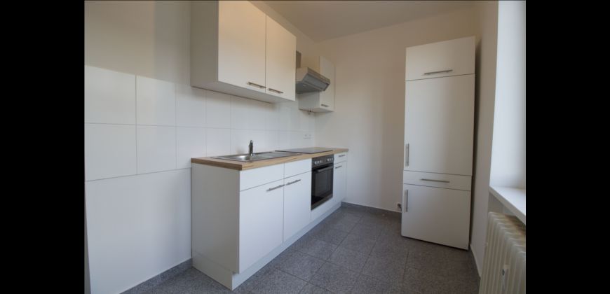 Pronájem bytu 2+1/B, 53,65m2, Praha 3 - Žižkov,  po rekonstrukci