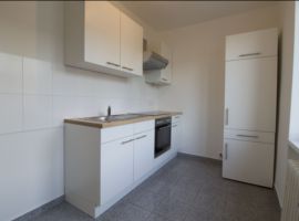 Pronájem bytu 2+1, 53,30m2, Praha 3 - Žižkov,  po rekonstrukci