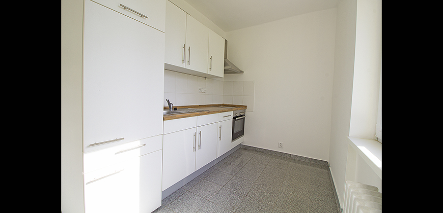 Pronájem bytu 2+1, 55m2, Praha 3 - Žižkov,  po rekonstrukci