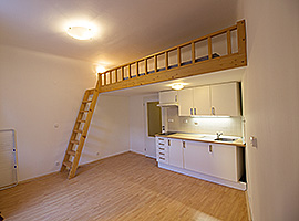 Pronájem Garsonka, Praha 10, po rekonstrukci, Vršovice