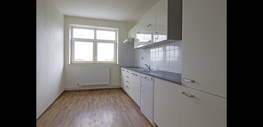 pronájem bytu 2+1, Libice nad Cidlinou, 108m2, nezařízený