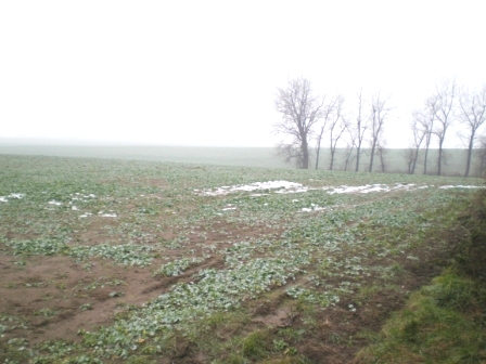 Stavebn� pozemek, 17 743m2, Moravsk� Bud�jovice - La��nky