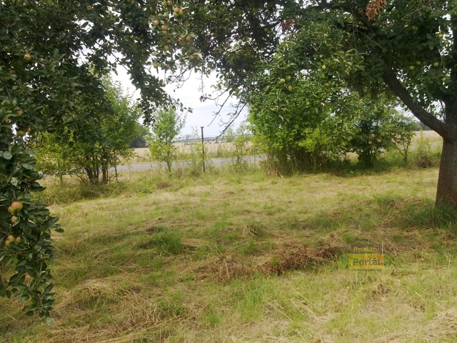 Prodej pozemku 1443m, Kol�n( Klu�ov - Lstibo�), 750K�/m2