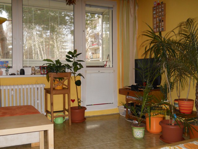 pro detail zak�zky - klikn�te