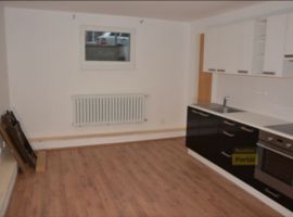 Pronájem bytu Praha 8 - Čimice, byt 1+1, 39m2, po rekonstrukci